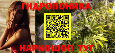 дмт Ярославль