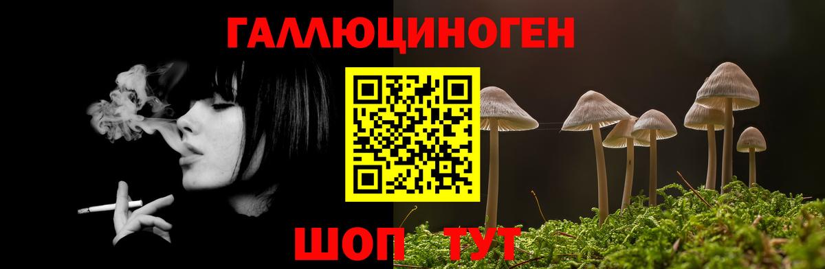 Галлюциногенные грибы мухоморы Архангельск